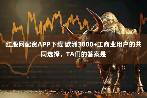 红股网配资APP下载 欧洲3000+工商业用户的共同选择，TA们的答案是