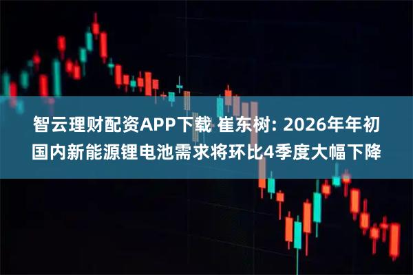 智云理财配资APP下载 崔东树: 2026年年初国内新能源锂电池需求将环比4季度大幅下降