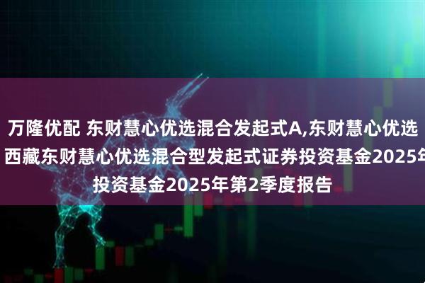 万隆优配 东财慧心优选混合发起式A,东财慧心优选混合发起式C: 西藏东财慧心优选混合型发起式证券投资基金2025年第2季度报告