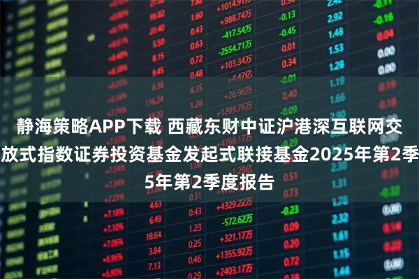 静海策略APP下载 西藏东财中证沪港深互联网交易型开放式指数证券投资基金发起式联接基金2025年第2季度报告