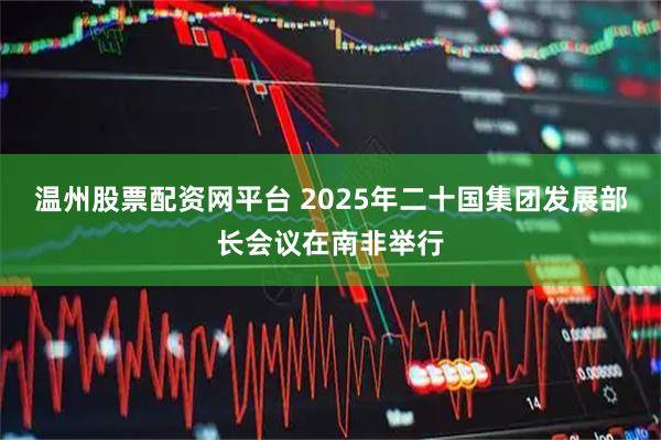 温州股票配资网平台 2025年二十国集团发展部长会议在南非举行