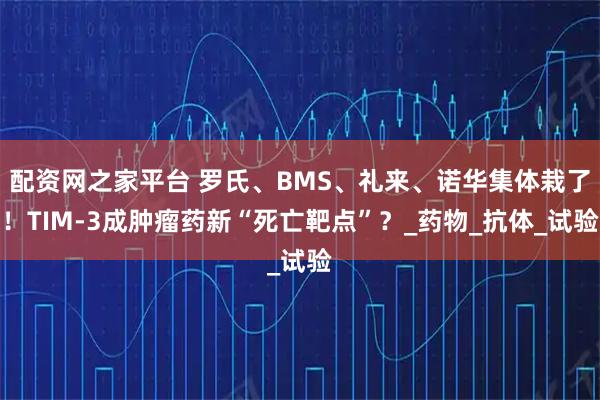 配资网之家平台 罗氏、BMS、礼来、诺华集体栽了！TIM-3成肿瘤药新“死亡靶点”？_药物_抗体_试验
