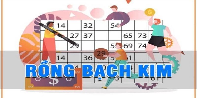 Tìm hiểu về chuyên mục rồng bạch kim 247 tại Xin88