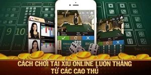 Tài Xỉu Xin88 | Tựa Game Phá Đảo Thị Trường Năm 2024